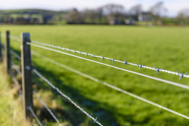 Barbed Wire Fence Installation Service
