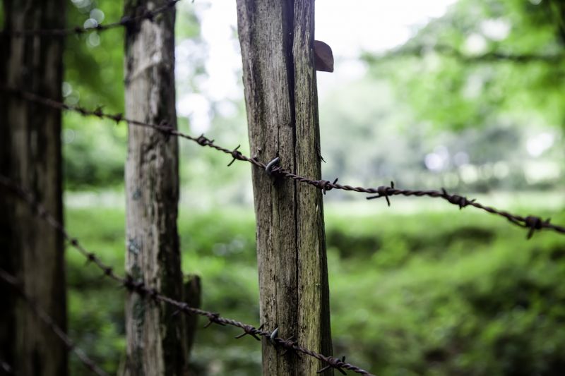 Barbed Wire Fencing