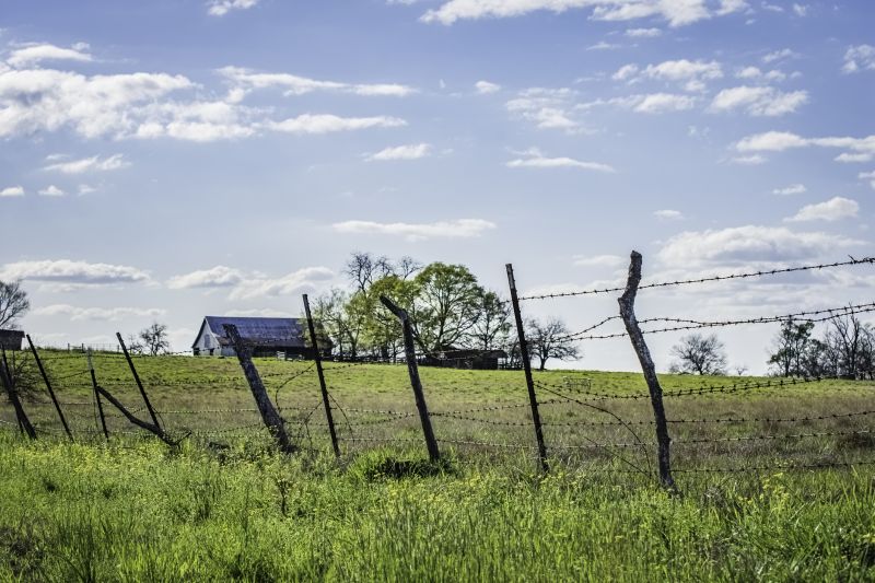 Barb Wire Fencing Repair