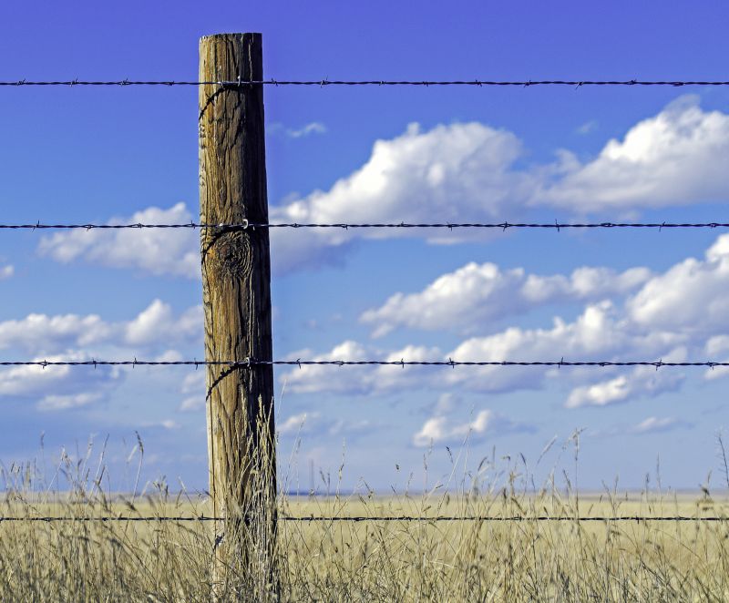 Barbed Wire Fence Replacement
