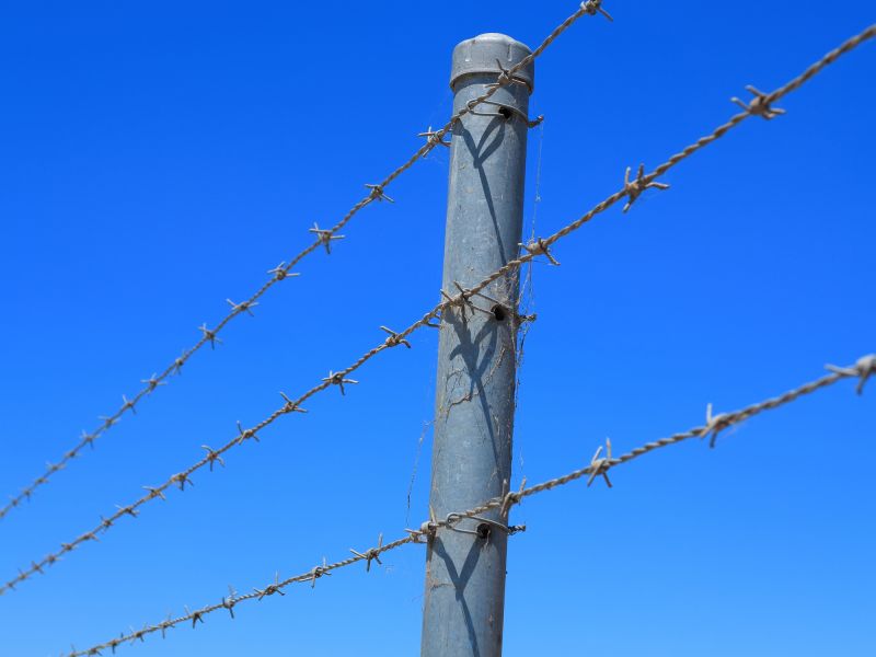 Barbed Wire Fencing