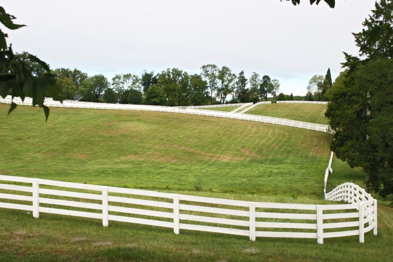 Cattle Fence Repair