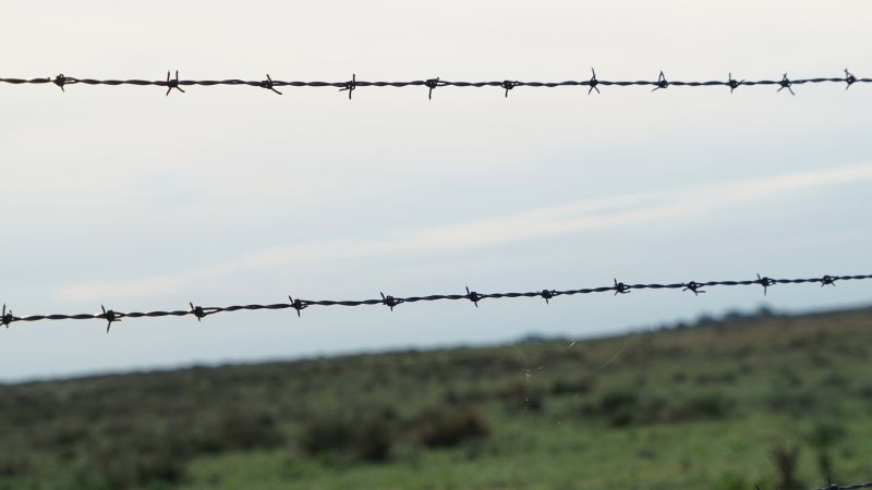 Barbed Wire Fencing