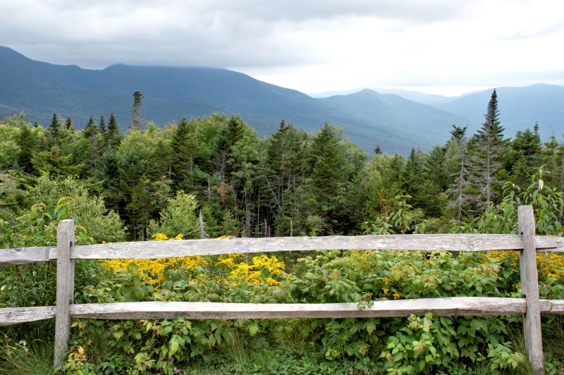 Rail Fence Installation