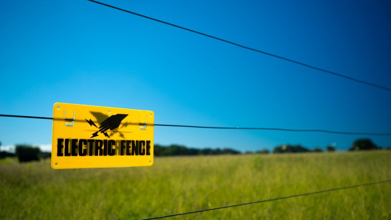 Wire Fence Replacement