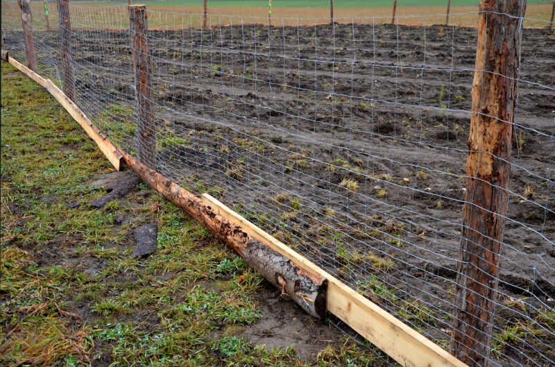 Wire Fence Replacement