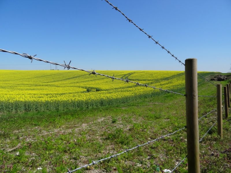Woven Wire Fence Repair